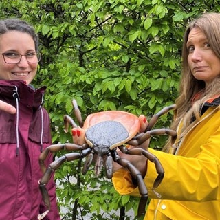 neuneinhalb-Reporterin Jana und Wissenschaftlerin Katrin mit einem Zeckenmodell.